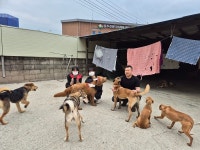 서정대 학교기업 펫인쥬, 유기견센터 봉사·후원금 전달 | 위키트리 서정대 학교기업 펫인쥬, 유기견센터 봉사·후원금 전달
