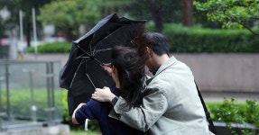 전남생물산업진흥원, 식품기업 2곳 투자유치 | 위키트리 전남생물산업진흥원, 식품기업 2곳 투자유치