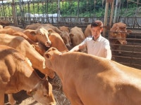 김영록 전남도지사, 진도 대파 도복 피해현장 점검 | 위키트리 김영록 전남도지사, 진도 대파 도복 피해현장 점검