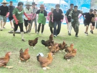 전남 담양군 대전면, 제1회 대전면 한재골 수목정원 물축제 성황 | 위키트리 전남 담양군 대전면, 제1회 대전면 한재골 수목정원 물축제 성황