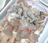 믿기지 않지만... 이 회가 모두 5만원어치입니다 (사진) | 위키트리 믿기지 않지만... 이 회가 모두 5만원어치입니다 (사진)