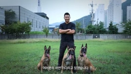 100% 무료 새출발 알린 개통령 강형욱, 눈길 쏠린 댓글창 | 위키트리 100% 무료 새출발 알린 개통령 강형욱, 눈길 쏠린 댓글창