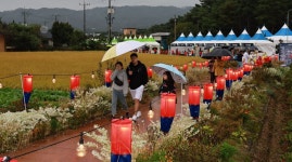 [경북소식] 예천군, ‘2024 금당야행’ 성료 | 위키트리 [경북소식] 예천군,    ‘2024 금당야행’  성료