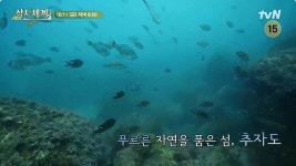 삼시세끼 라이트 깜짝 게스트 등장…촬영지는? | 위키트리 삼시세끼 라이트 깜짝 게스트 등장…촬영지는?