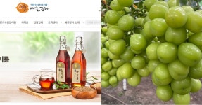 [경북소식] 예천군, 아줌마대축제 우리농산물큰잔치에 지역 농특산물 선봬 | 위키트리 [경북소식] 예천군, 아줌마대축제 우리농산물큰잔치에 지역... 