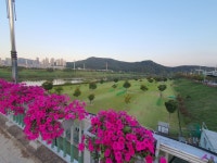 [대구소식]달성군, 파크골프장 2개소 공인구장 인증 획득 | 위키트리 [대구소식]달성군, 파크골프장 2개소 공인구장 인증 획득