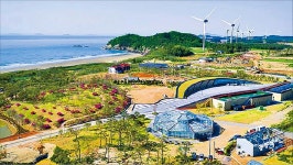 천사의 섬 신안, 사람들 끌어모으기 위해…이것까지 한다 | 위키트리 천사의 섬 신안, 사람들 끌어모으기 위해…이것까지 한다 