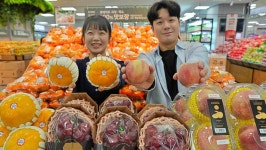 땡큐절 이어… 롯데마트, 기존에 쉽게 접하지 못한 이색 과일 출시했다 | 위키트리 땡큐절 이어… 롯데마트, 기존에 쉽게 접하지 못한 이색... 