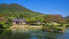 전남 진도군, 주민 주도 농촌신활력플러스 공모사업 선정 | 위키트리 전남 진도군, 주민 주도 농촌신활력플러스 공모사업 선정
