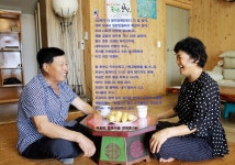 전남 보성군, 문화600 인생한컷과 보배성 시월 국화 전시회 개최 | 위키트리 전남 보성군, 문화600 인생한컷과 보배성 시월 국화 전시회 개최