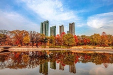 짧은 가을... 누구나 즐길 수 있는 서울 단풍 핫플 BEST 4 | 위키트리 짧은 가을... 누구나 즐길 수 있는 서울 단풍 핫플 BEST 4 