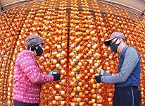 조선 시대 풍류와 현대의 힐링, 무료로 즐길 수 있는 두 여행지 | 위키트리 조선 시대 풍류와 현대의 힐링, 무료로 즐길 수 있는 두 여행지