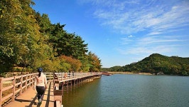 설 명절 앞두고... 금오산 명물 케이블카, 새단장 들어갔다 | 위키트리 설 명절 앞두고... 금오산 명물 케이블카, 새단장 들어갔다 