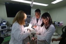 서정대 반려동물보건과, 동물보건사 양성과 배출의 든든한 산실 | 위키트리 서정대 반려동물보건과, 동물보건사 양성과 배출의 든든한 산실