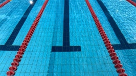 눈병·구토 유발할 수도…공공 실내수영장서 검출된 화학물질 | 위키트리 눈병·구토 유발할 수도…공공 실내수영장서 검출된 화학물질