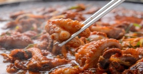 생방송 투데이 맛집 오늘, 주꾸미 편 | 위키트리 생방송 투데이 맛집 오늘, 주꾸미 편