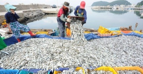 동구 평생학습관, 가을학기 수강생 모집 | 위키트리 동구 평생학습관, 가을학기 수강생 모집 