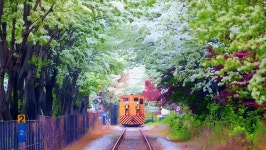 1년에 단 6일... 지금 아니면 못 가는 인생샷 성지 | 위키트리 1년에 단 6일... 지금 아니면 못 가는 인생샷 성지