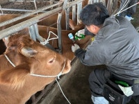 설연휴 녹차수도 보성군에서 온가족과 함께 힐링하세요 | 위키트리 설연휴 녹차수도 보성군에서 온가족과 함께 힐링하세요