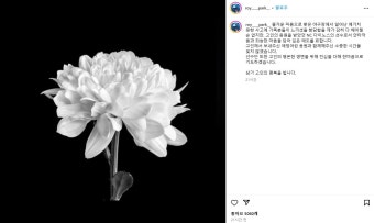 “선수들도 큰 충격” 창원 NC파크 사고로 20대 관중 사망, 1일 모든 경기 중단 | 위키트리 “선수들도 큰 충격” 창원 NC파크 사고로 20대...