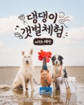“댕댕이랑 조개 캐요”… 태안 안면도서 '반려동물 동반 갯벌체험' 첫 선 | 위키트리 “댕댕이랑 조개 캐요”… 태안 안면도서 '반려동물 동반... 