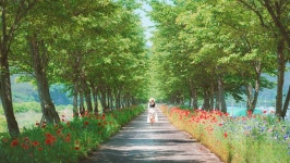 “여기가 한국이라고?” 5월 황금연휴 가족 여행지로 입소문 난 명소 | 위키트리 “여기가 한국이라고?” 5월 황금연휴 가족 여행지로 입소문 난... 