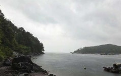 최소 수백만원짜리... 한국 앞바다에서 상상도 못 한 외래종이 포획됐다 | 위키트리 최소 수백만원짜리... 한국 앞바다에서 상상도 못 한 외래종이... 