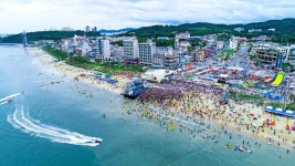 보령 대천해수욕장 7월 5일, 무창포 12일 개장…‘펫비치’도 운영 | 위키트리 보령 대천해수욕장 7월 5일, 무창포 12일 개장…‘펫비치’도... 