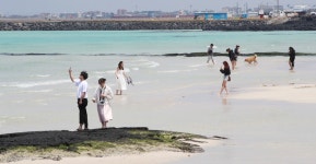 야간 개장까지…제주 해변 6곳, 이른 더위 예상에 일찍 연다 | 위키트리 야간 개장까지…제주 해변 6곳, 이른 더위 예상에 일찍 연다