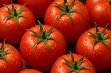 구하기 쉽지만, 5~6월이 가장 달콤하고 몸에도 좋은 토마토 | 위키트리 사계절 내내 구하기 쉽지만, 5~6월이 가장 달콤하고 몸에도 좋은 토마토 