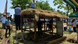 이 정도일 줄이야… 첫날부터 4만 명 모인 정말 뜻밖의 국내 축제 | 위키트리 이 정도일 줄이야… 첫날부터 4만 명 모인 정말 뜻밖의 국내 축제