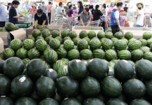 폭우 뚫고 100명 몰렸다...이마트서 9900원에 판매하는 이것 | 위키트리 폭우 뚫고 100명 몰렸다...이마트서 9900원에 판매하는 이것