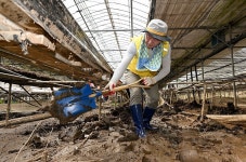 의정부시 자원봉사자·공무원, 폭염 속 가평 수해복구 동참 | 위키트리 의정부시 자원봉사자·공무원, 폭염 속 가평 수해복구 동참