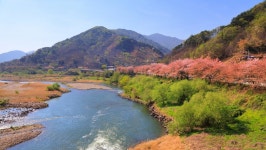 전남으로 한 달 동안 떠난다... 숙박비·식비 모두 제공하는 놀라운 여행 | 위키트리 전남으로 한 달 동안 떠난다... 숙박비·식비 모두 제공하는... 