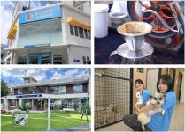 광주시 동구, 양성평등주간 기념 ‘여성단체 한마음축제’ 개최 | 위키트리 광주시 동구, 양성평등주간 기념 ‘여성단체 한마음축제’ 개최  