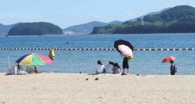 창원에서 유일하다… 올해 방문객 6만 명 넘게 몰린 의외의 명소 | 위키트리 창원에서 유일하다… 올해 방문객 6만 명 넘게 몰린 의외의 명소