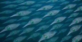 순천시 황전면 교동마을 경로당 준공식 | 위키트리 순천시 황전면 교동마을 경로당 준공식