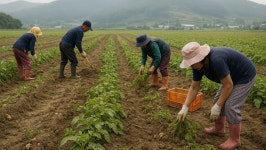 부안군, 여름철 가축전염병 방역태세 강화 | 위키트리 부안군, 여름철 가축전염병 방역태세 강화