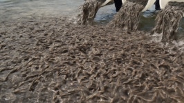 순천시 황전면 교동마을 경로당 준공식 | 위키트리 순천시 황전면 교동마을 경로당 준공식