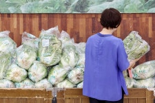 지난주에 미리 사둘 걸...일주일 만에 가격 131% 껑충 뛴 국민 식재료 | 위키트리 지난주에 미리 사둘 걸...일주일 만에 가격 131% 껑충 뛴 국민... 