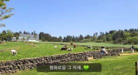 성산일출봉·오름 다 아니었다… MZ세대 인기 여행지는 바로 이곳 | 위키트리 성산일출봉·오름 다 아니었다… MZ세대 인기 여행지는 바로 이곳