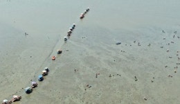 `GS25` 검색 | 위키트리 위키트리 | 세상을 깨우는 재미진 목소리