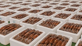 생명샘지역아동센터, 삼성꿈장학재단 축구용품 전달식 개최 | 위키트리 생명샘지역아동센터, 삼성꿈장학재단 축구용품 전달식 개최