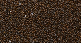 광양시, 관내 공중화장실 34개소에 도로명주소 부여 | 위키트리 광양시, 관내 공중화장실 34개소에 도로명주소 부여