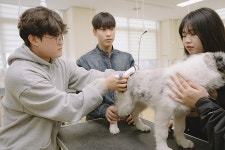 펫케어·훈련·복지까지 한 캠퍼스에서 서정대, 반려동물 전문가 요람으로 | 위키트리 펫케어·훈련·복지까지 한 캠퍼스에서 서정대, 반려동물... 