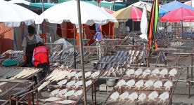 추석 차례상에 못 올리겠네…1년 만에 22% 치솟아 금값된 ‘국민 수산물’ | 위키트리 추석 차례상에 못 올리겠네…1년 만에 22% 치솟아 금값된... 