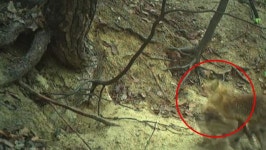 파주시, 민선7기들어 국·공립어린이집 2배 증가 | 위키트리 파주시, 민선7기들어 국·공립어린이집 2배 증가