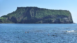 신종 마약 신의 눈물 반입한 일당 구속 | 위키트리 신종 마약 신의 눈물 반입한 일당 구속