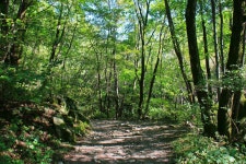 80년 만에 시민 품으로 돌아왔다… 드디어 전 구간 전면 개통된 ‘이곳’ | 위키트리 80년 만에 시민 품으로 돌아왔다… 드디어 전 구간 전면... 