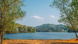 필수 여행 코스로 우뚝… 누적 관광객 30만 명 돌파한 국내 여행지 | 위키트리 필수 여행 코스로 우뚝… 누적 관광객 30만 명 돌파한 국내 여행지